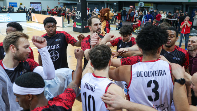 Es gilt: Die BAYER GIANTS treffen auf die Dresden Titans / Foto: Frank Fankhauser